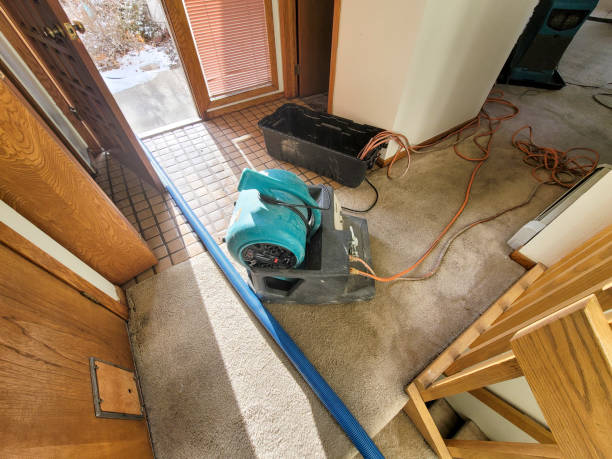 Best Residential water damage restoration  in Calvert, TX