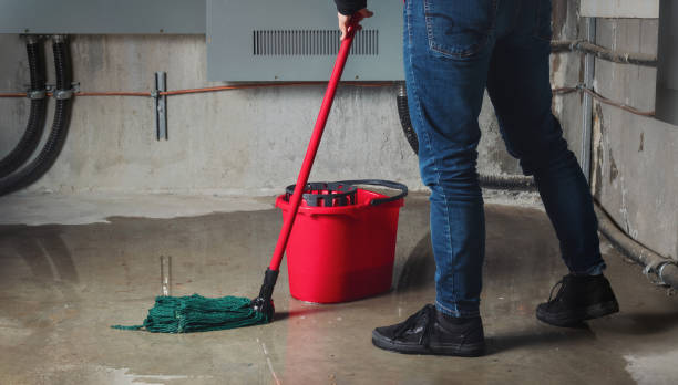 Best Carpet water damage restoration  in Calvert, TX