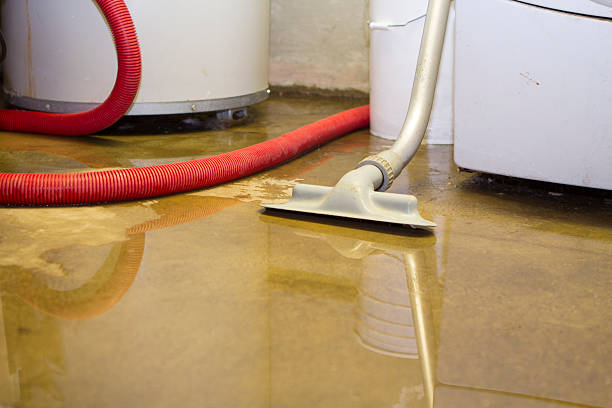 Best Commercial water damage restoration  in Calvert, TX